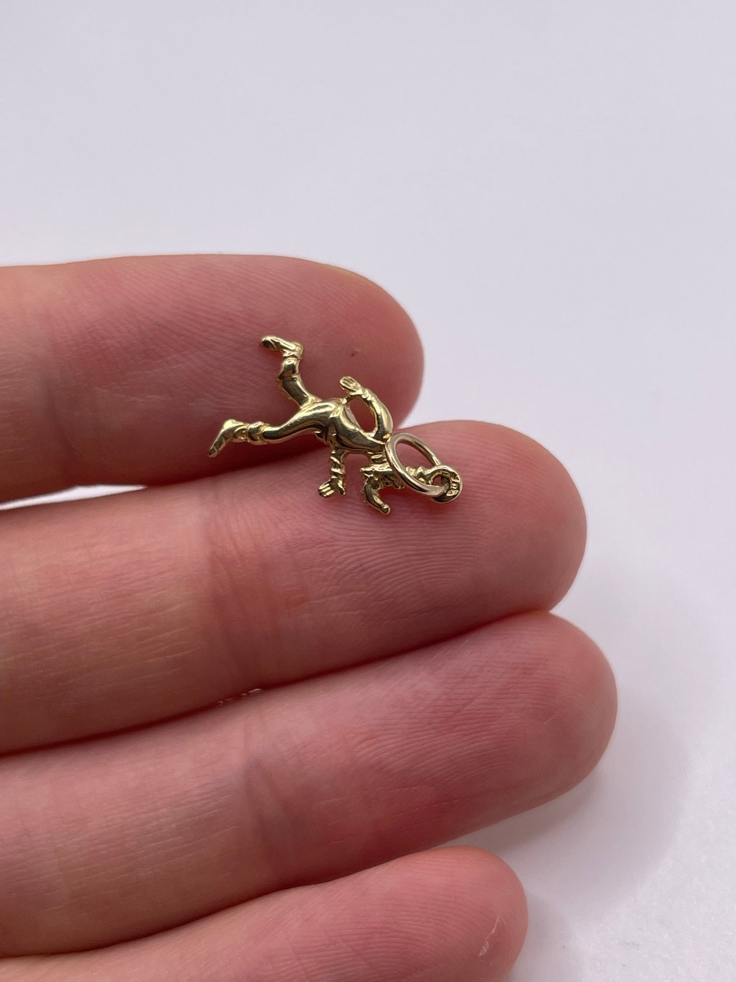 9ct gokd character charm