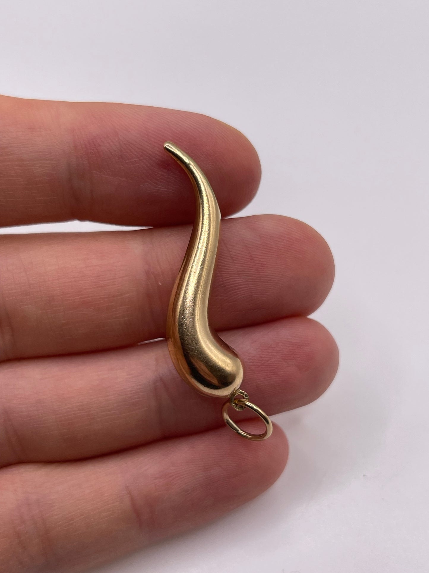 9ct gold horn of plenty pendant