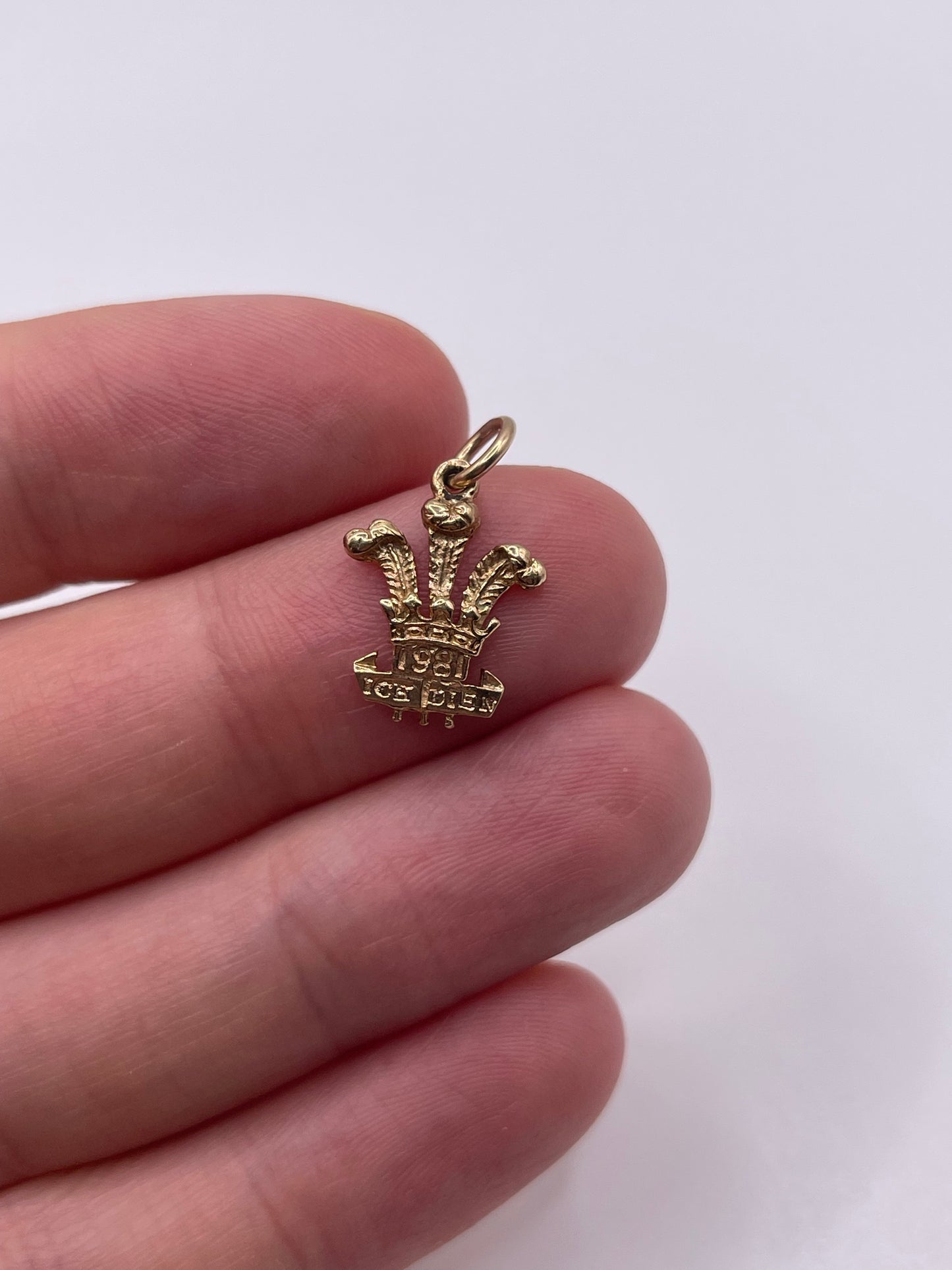 9ct gold prince of wales pendant