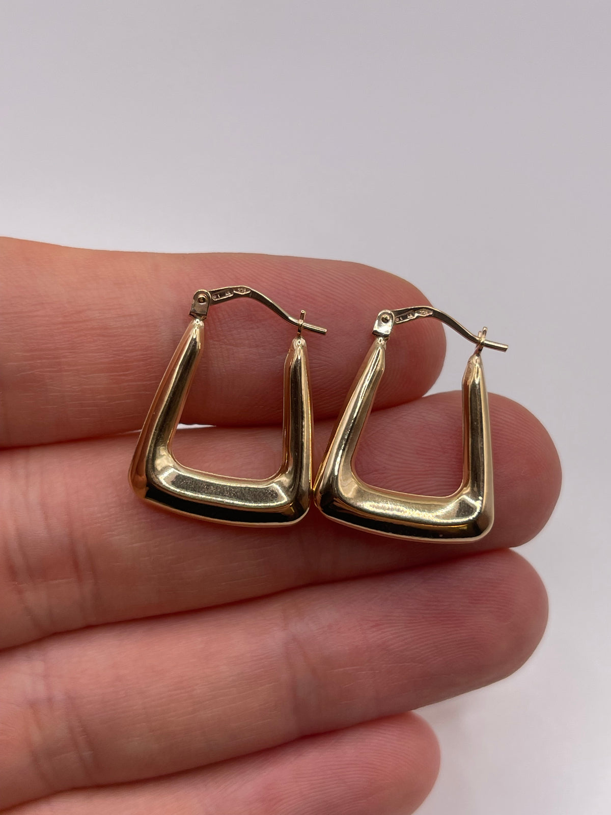 9ct gold Creole earrings