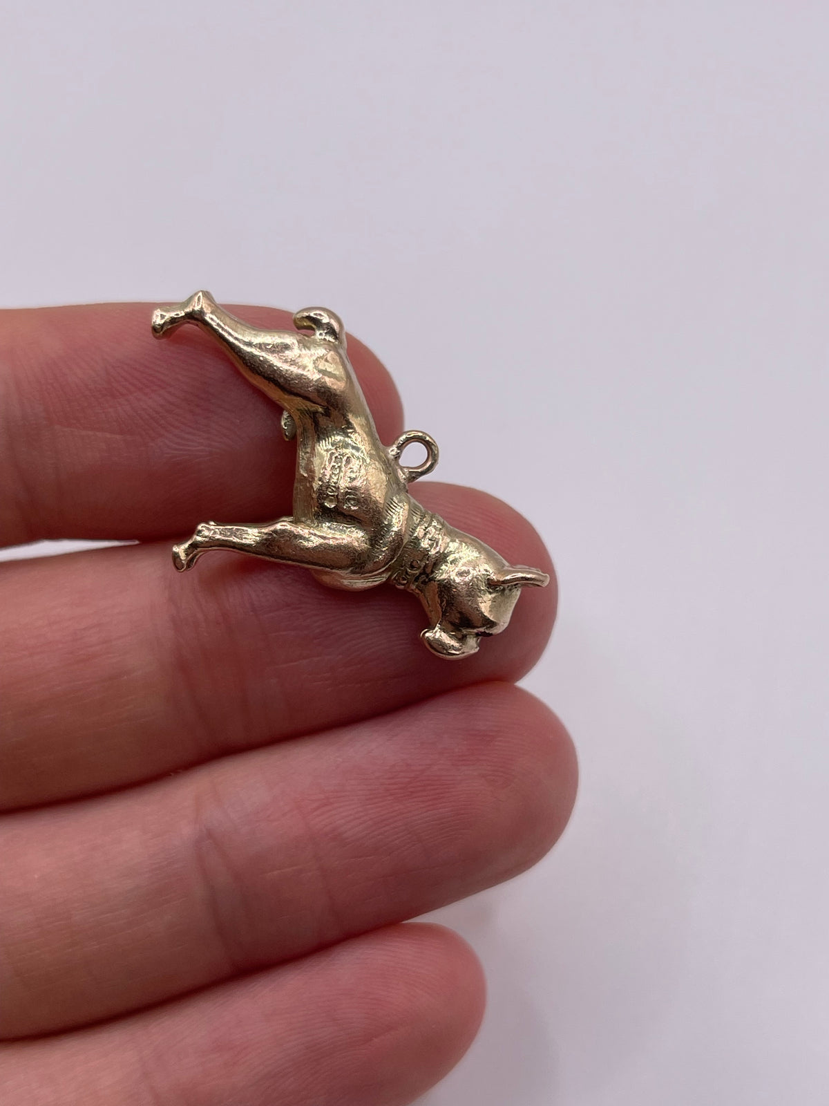 9ct gold ruby dog charm