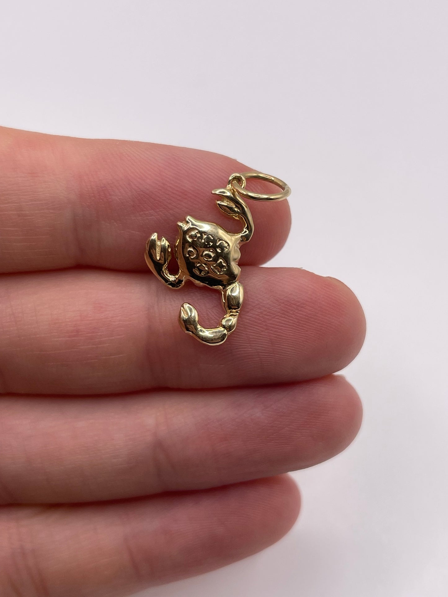 9ct gold Scorpio pendant