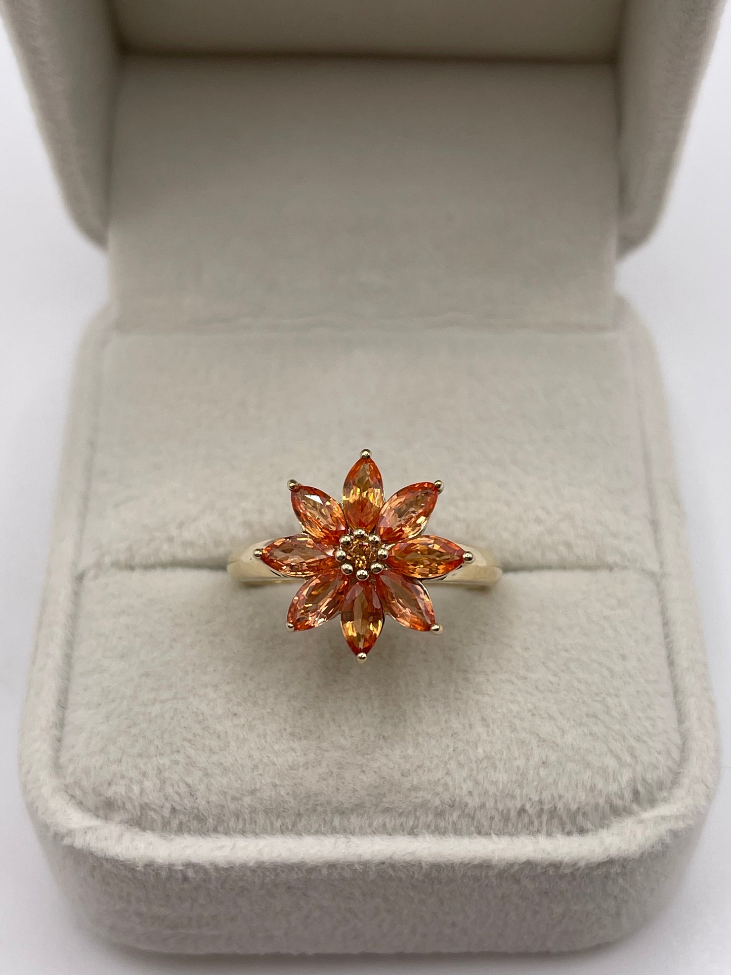 9ct gold fancy sapphire cluster ring