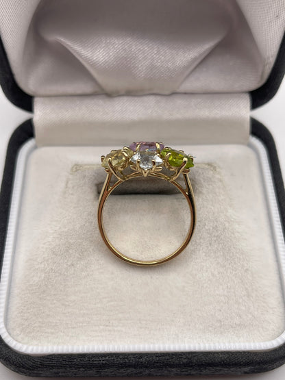 9ct gold multi gemstone ring