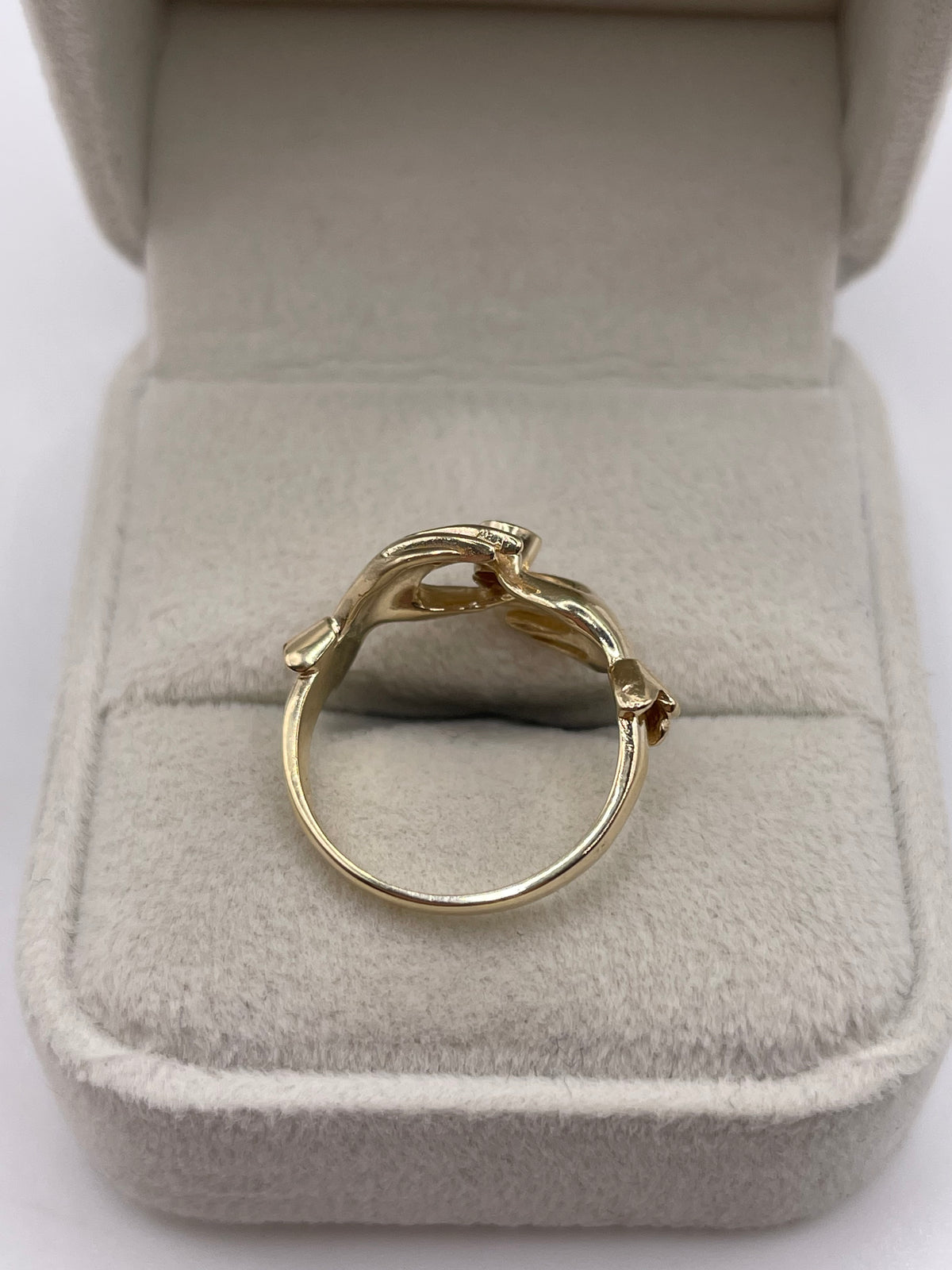 9ct gold ruby double hand ring