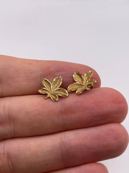 9ct gold leaf earrings