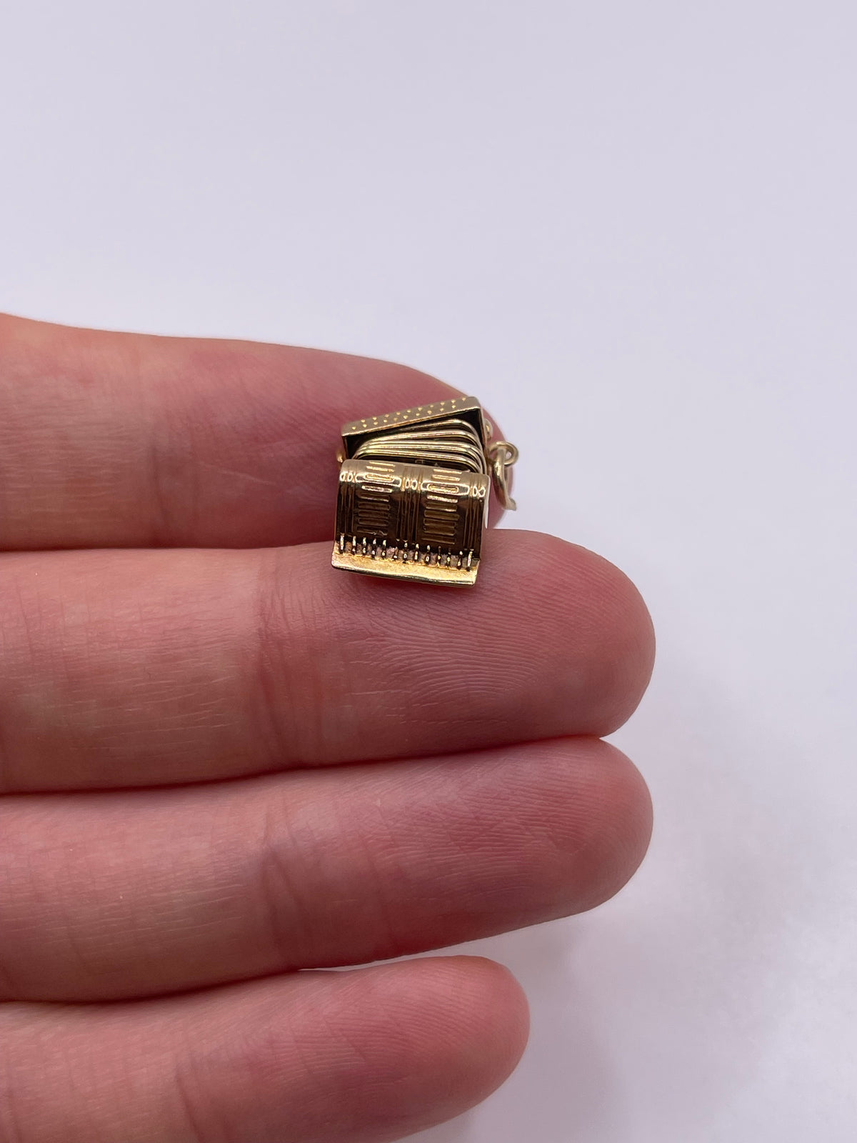 9ct gold accordion charm