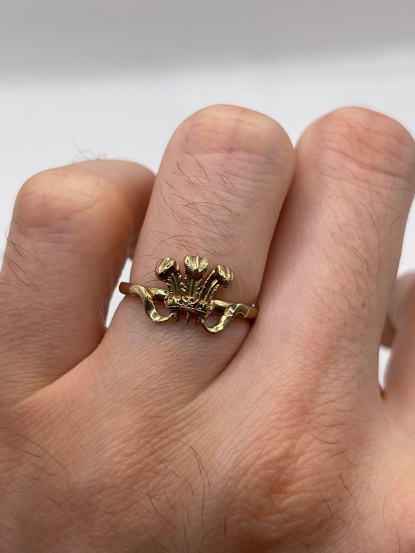 9ct gokd Welsh feathers ring
